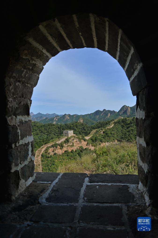 白菜大全论坛